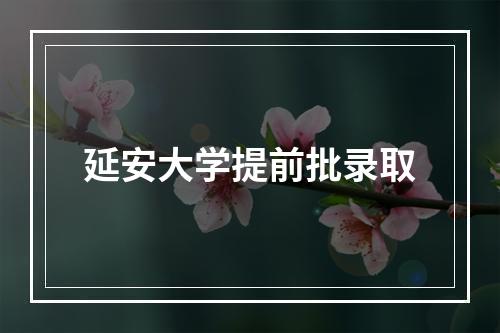 延安大学提前批录取