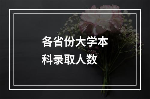 各省份大学本科录取人数