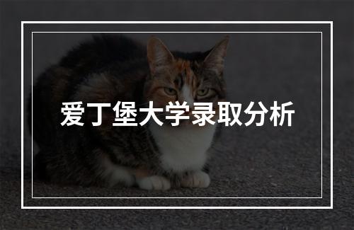 爱丁堡大学录取分析