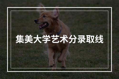 集美大学艺术分录取线