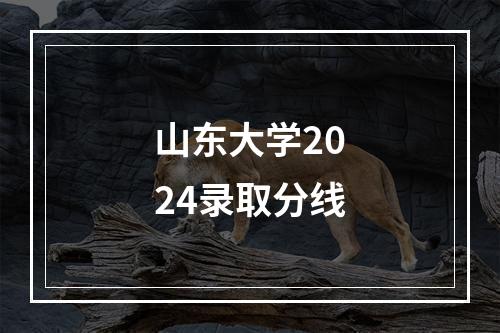 山东大学2024录取分线