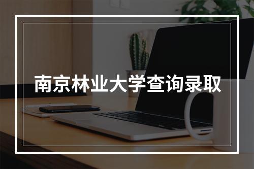 南京林业大学查询录取