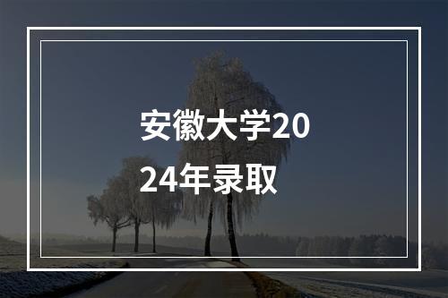 安徽大学2024年录取