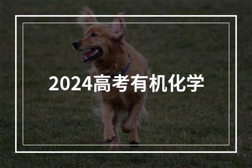 2024高考有机化学