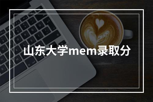 山东大学mem录取分