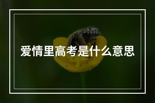 爱情里高考是什么意思