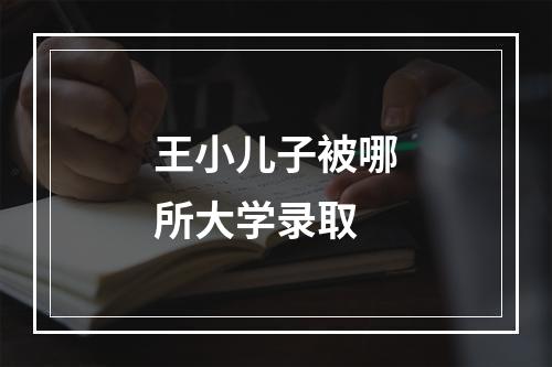 王小儿子被哪所大学录取