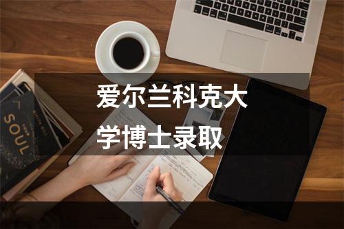 爱尔兰科克大学博士录取