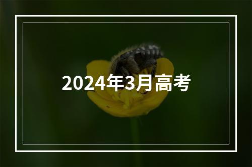 2024年3月高考