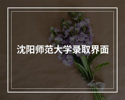 沈阳师范大学录取界面