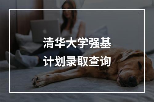 清华大学强基计划录取查询