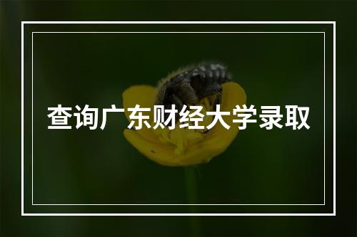 查询广东财经大学录取