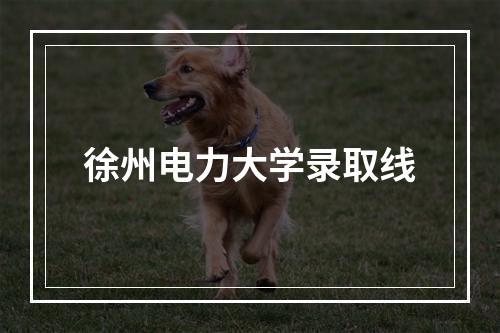 徐州电力大学录取线