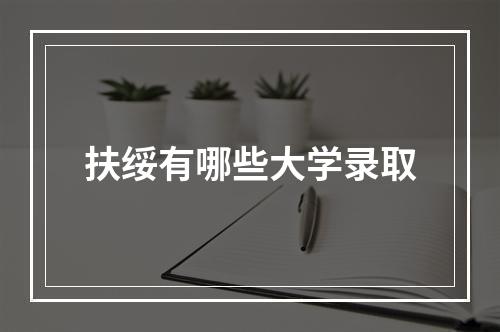 扶绥有哪些大学录取