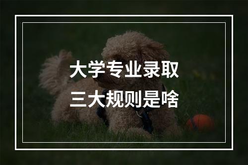 大学专业录取三大规则是啥