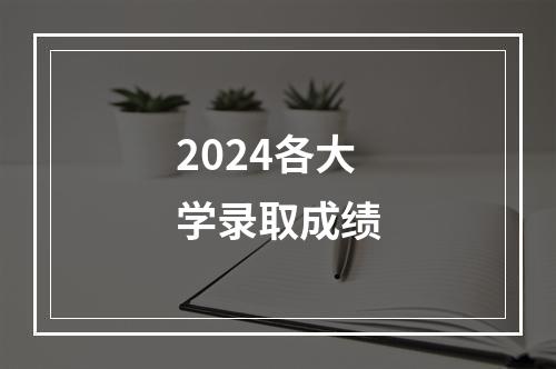 2024各大学录取成绩