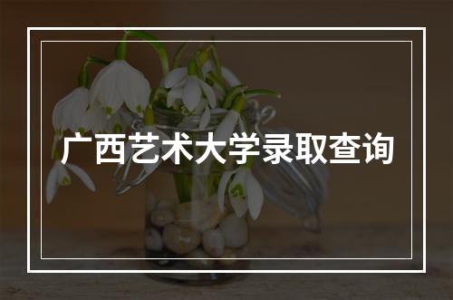 广西艺术大学录取查询