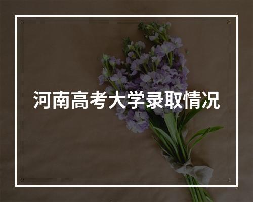 河南高考大学录取情况