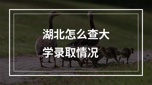 湖北怎么查大学录取情况