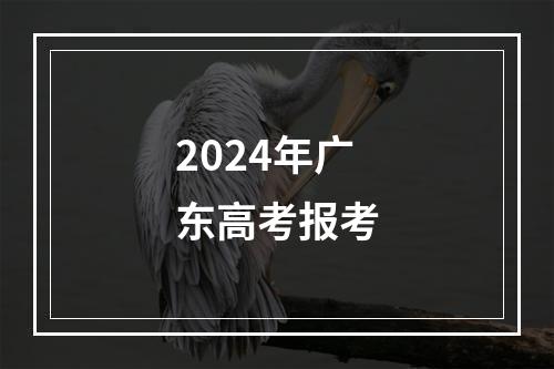 2024年广东高考报考