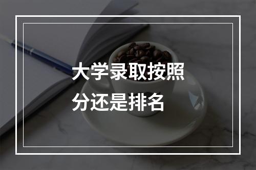 大学录取按照分还是排名