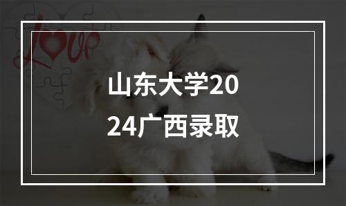 山东大学2024广西录取