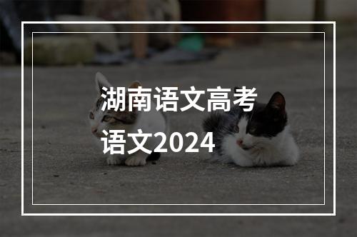 湖南语文高考语文2024