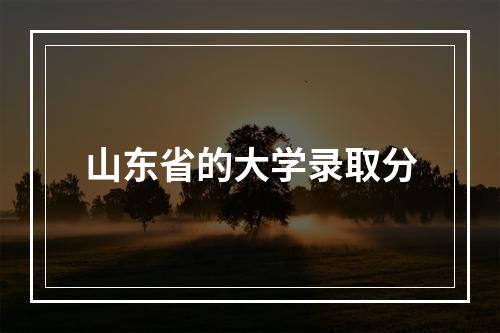 山东省的大学录取分