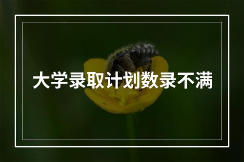 大学录取计划数录不满