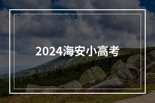 2024海安小高考