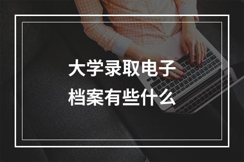 大学录取电子档案有些什么