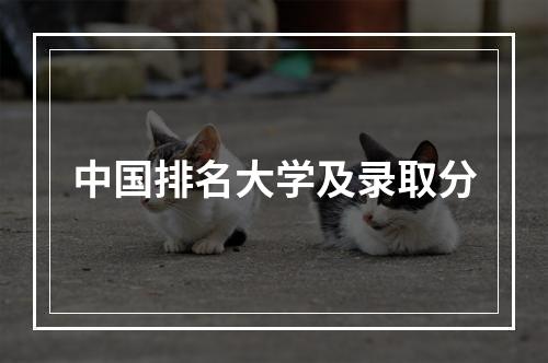 中国排名大学及录取分