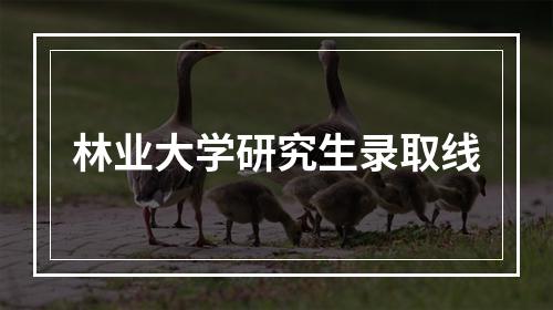 林业大学研究生录取线