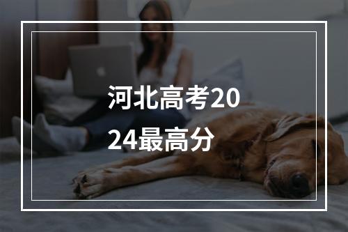 河北高考2024最高分