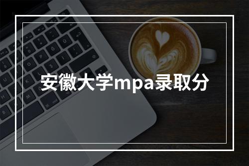 安徽大学mpa录取分