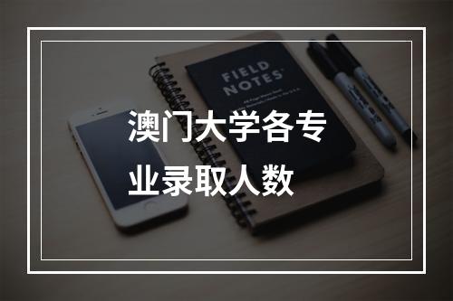 澳门大学各专业录取人数