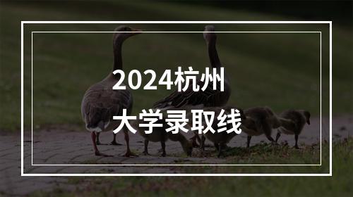 2024杭州大学录取线