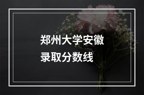 郑州大学安徽录取分数线