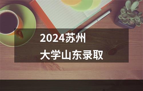 2024苏州大学山东录取