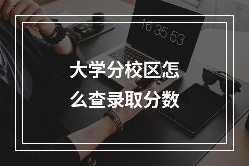 大学分校区怎么查录取分数