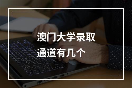 澳门大学录取通道有几个