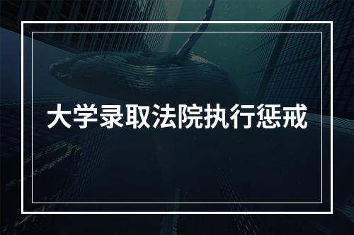 大学录取法院执行惩戒