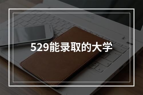 529能录取的大学