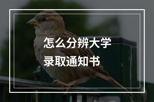 怎么分辨大学录取通知书