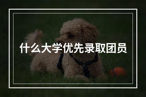 什么大学优先录取团员