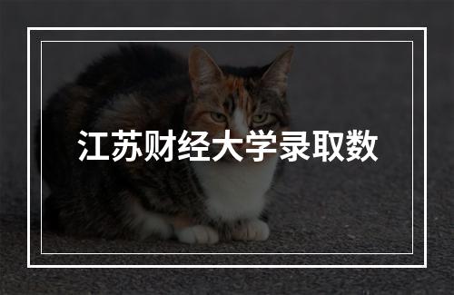 江苏财经大学录取数