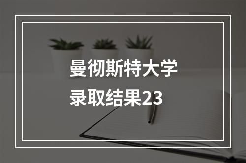 曼彻斯特大学录取结果23