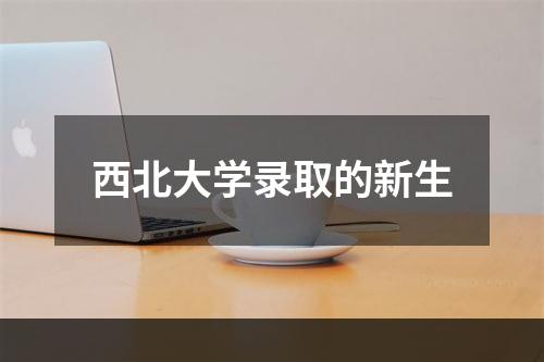 西北大学录取的新生