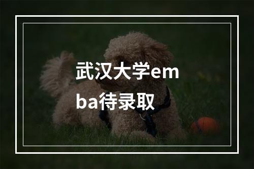 武汉大学emba待录取