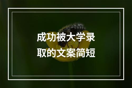 成功被大学录取的文案简短